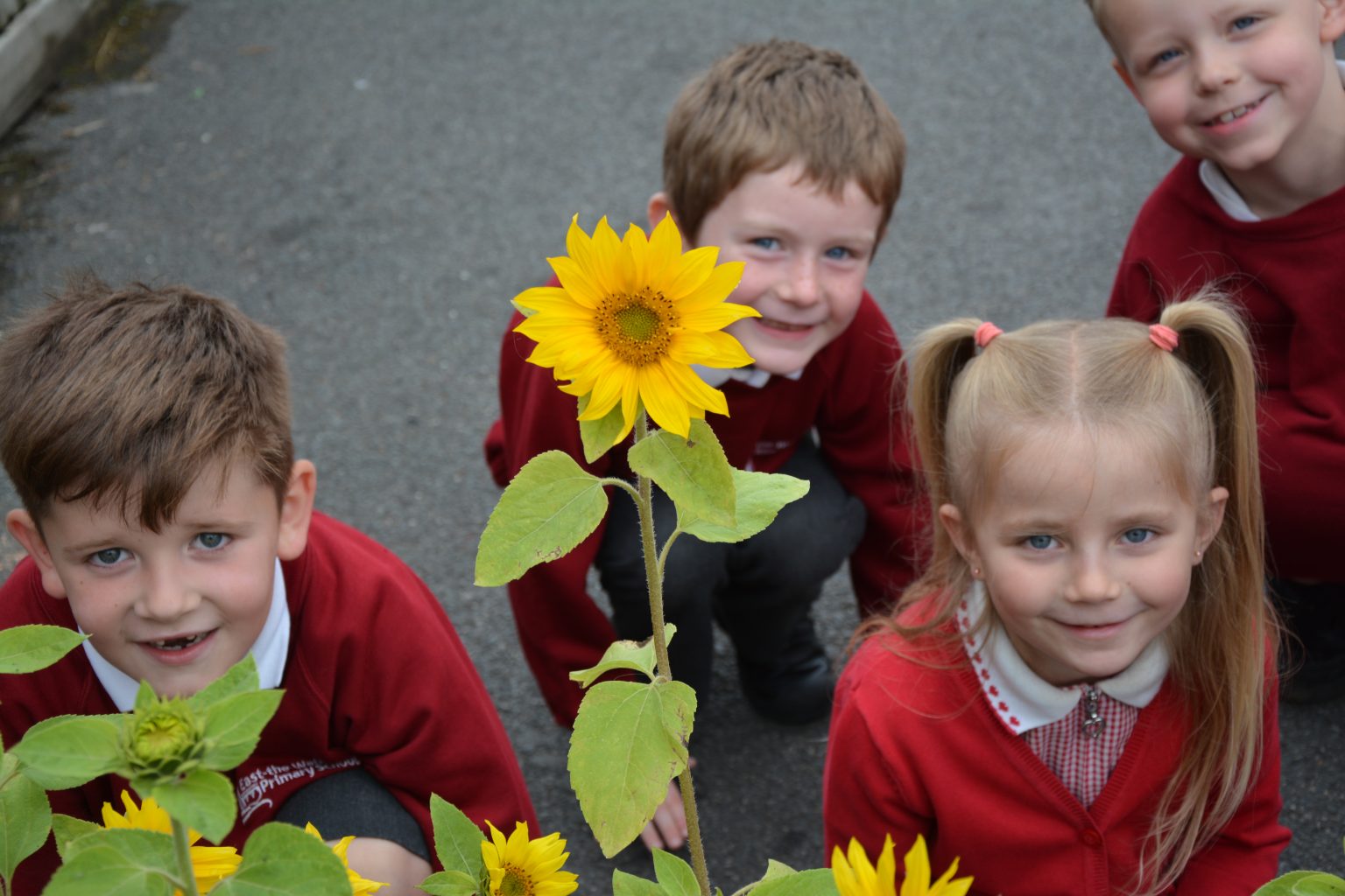 East The Water Primary School Bideford to EasttheWater